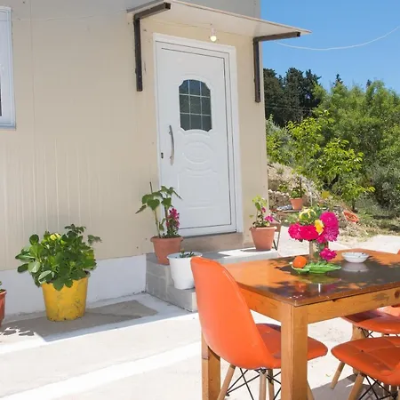 Basil & Guest House Guest house *