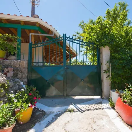 Guest house Basil & Guest House *