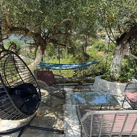 Basil & Pensiune Lazaráta