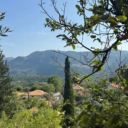 Basil & 3* Lazaráta